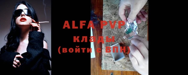 спиды Абаза