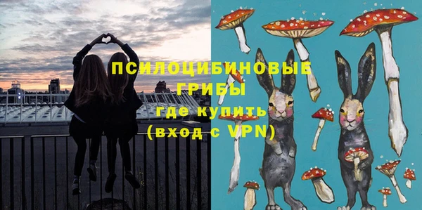 спиды Абаза