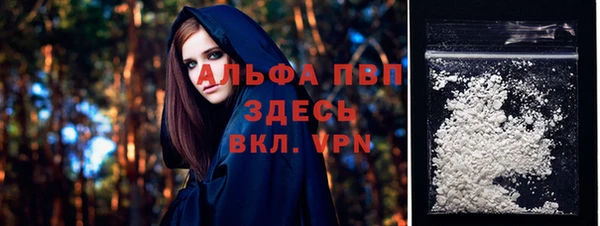 спиды Абаза