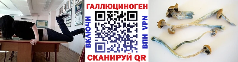 Псилоцибиновые грибы Psilocybe  Братск 