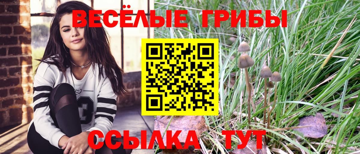 Братск  Галлюциногенные грибы Psilocybine cubensis  Псилоцибиновые грибы Cubensis  Вход с VPN 